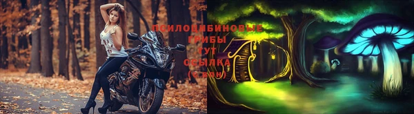 дживик Остров