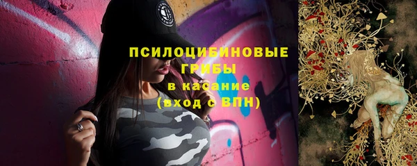 твердый Абаза
