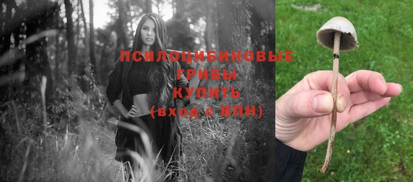 бутират Осташков